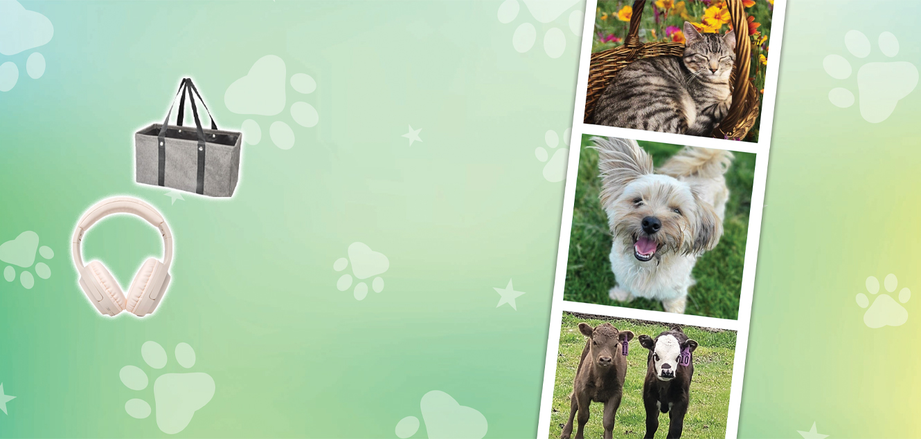 picture of green background with animals and small headphones and tote. 